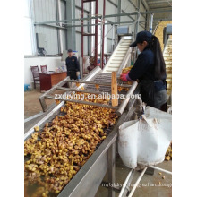 Dehydrated Vegetable Pre-processing Line